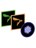 Vector cores with Atrevido or Avispado icon